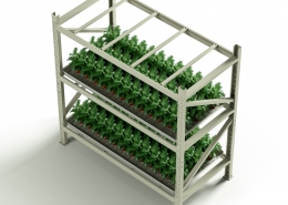 vertical growth racks