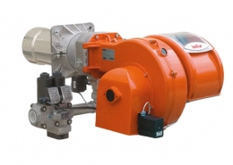 TBG80 Burner