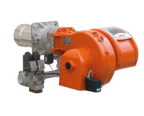 TBG80 Burner